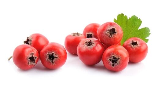 Pulsactivek elorri olioa dauka